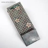 Пакет подарочный под бутылку, упаковка, &laquo;23 февраля&raquo;, 36&times;13&times;10 см