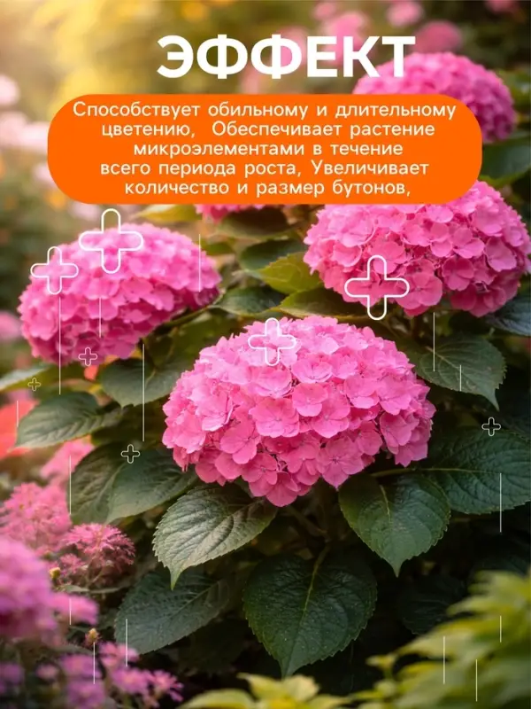 Удобрение минеральное для цветов и декоративных кустарников, Dr.Grunt, ведро, 3.3 л