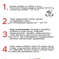 Семена Укроп "Крокодил", 2 г