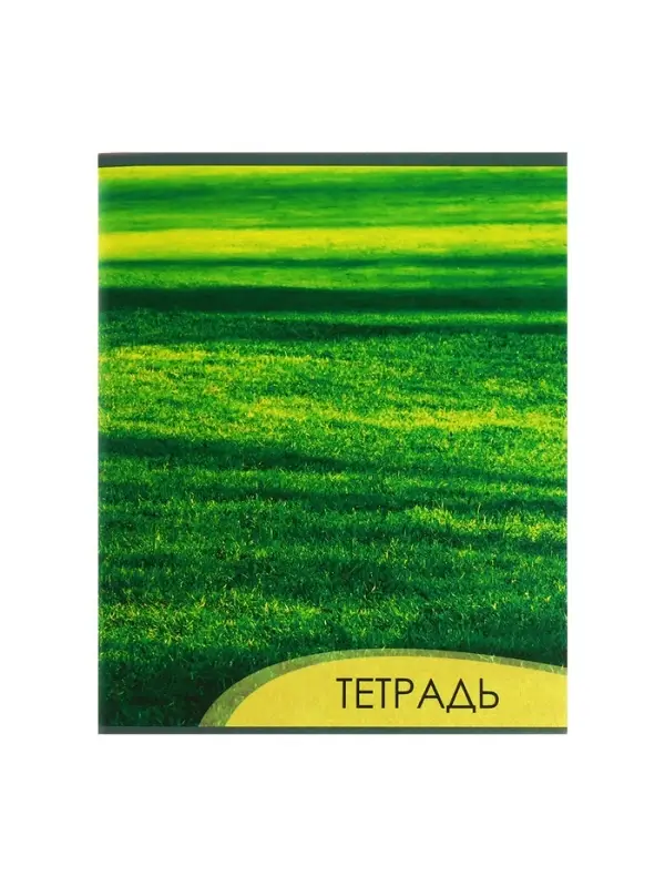 Комплект тетрадей из 4 штук, 96 листов в клетку Calligrata "Текстура 2", обложка мелованный картон, блок офсет