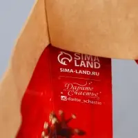 Пакет подарочный новогодний крафтовый с пластиковым окном &laquo;Новогодний подарок&raquo;, 24 х 20 х 11см