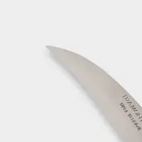 Нож кухонный для овощей Athus, лезвие 7.5 см, сталь AISI 420