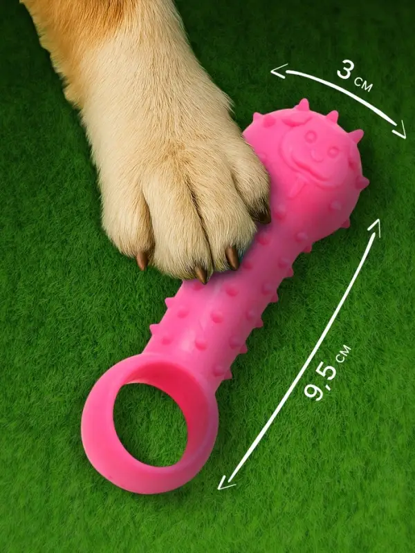 Игрушка-дразнилка для собак &laquo;Поймай меня!&raquo;, 9.5 см, TPR, розовая