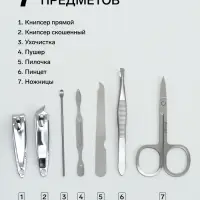 Набор маникюрный &laquo;Нежные пионы&raquo;, 7 предметов, в футляре