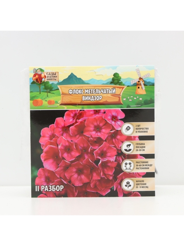 Флокс метельчтый Windsor корневище в пакете с торфогрунтом, р-р II, 2 шт.