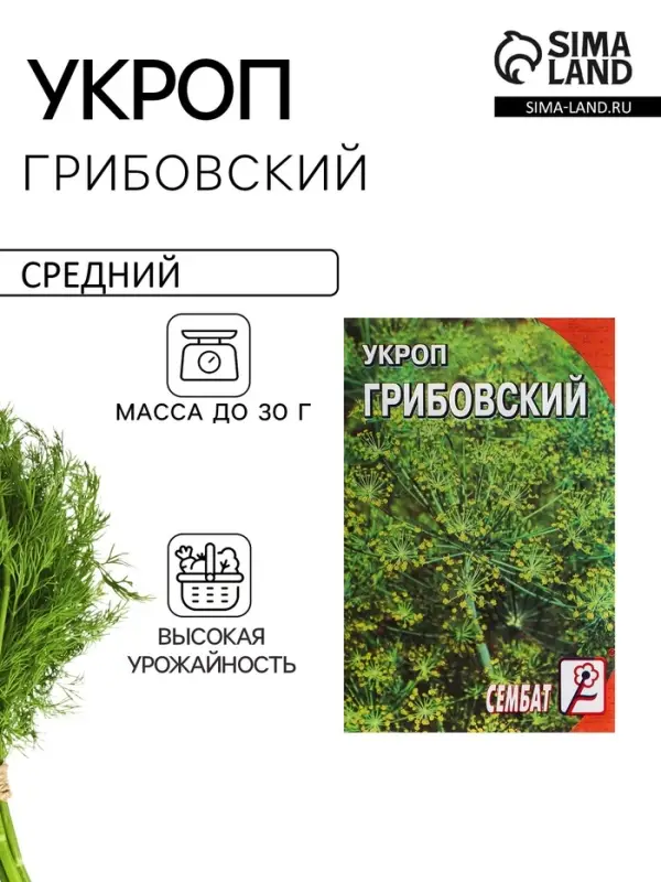 Семена Укроп "Грибовский", 3 г