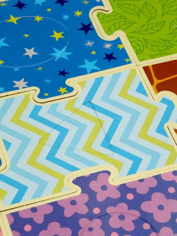 Sorter puzzle 12pcs Sorter puzzle 12pcs