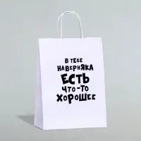 Пакет подарочный «В тебе наверняка есть что - то хорошее», 24×14×28 см, 1 шт.