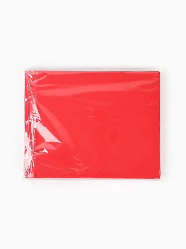 Фоамиран Фоамиран "Красный блеск" 2 мм, формат А4, набор 10 листов