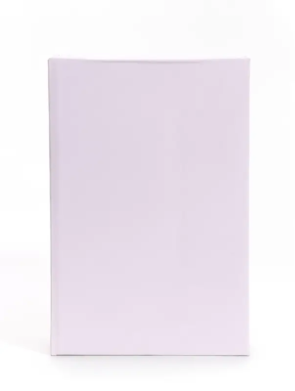 Шкатулка для украшений &laquo;Пёрышко&raquo;, зеркальная, 21&times;13&times;7 см