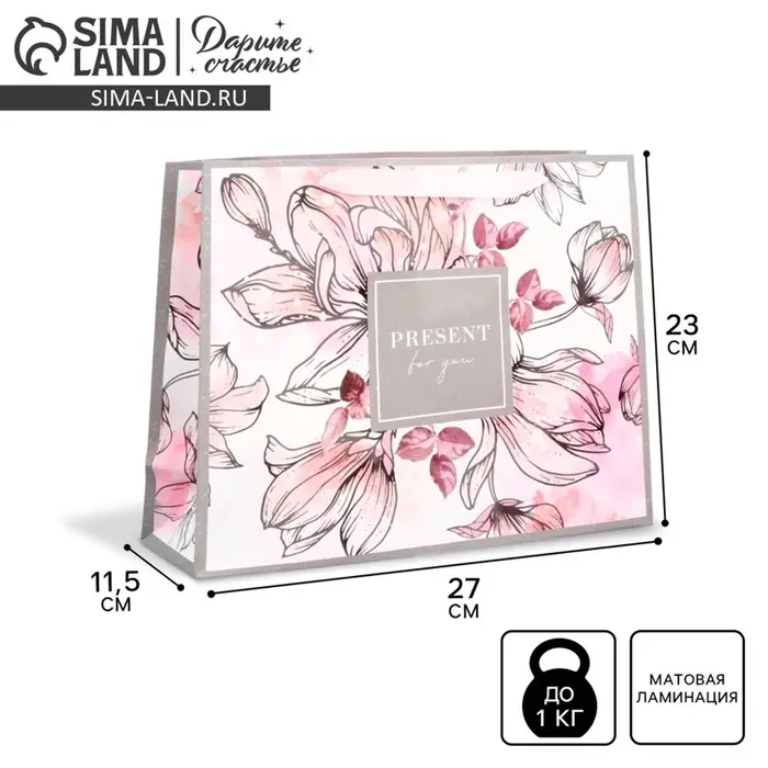 Пакет подарочный ламинированный, упаковка, &laquo;Present for you&raquo;, ML 27&times;23&times;11.5 см