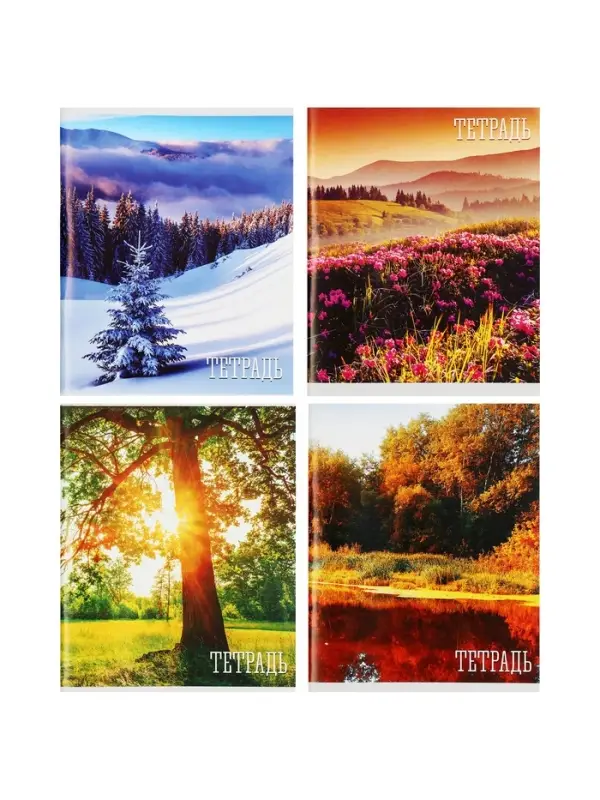 Тетрадь 48 листов в клетку, Calligrata «Времена года», обложка мелованная бумага, серые листы, МИКС