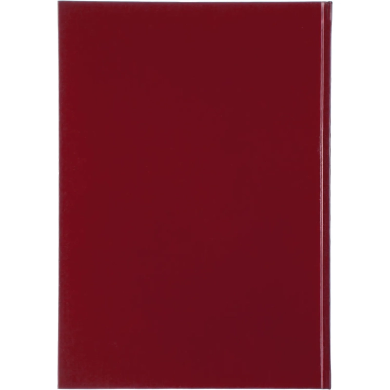 Книга учета Attache А4 96л в клетку блок офсет, бумвинил бордовый