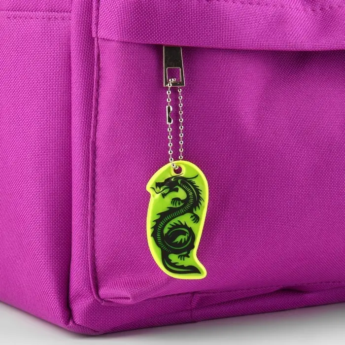 Светоотражающий элемент «Силуэт дракона», двусторонний, 5.8×3.1 см, МИКС