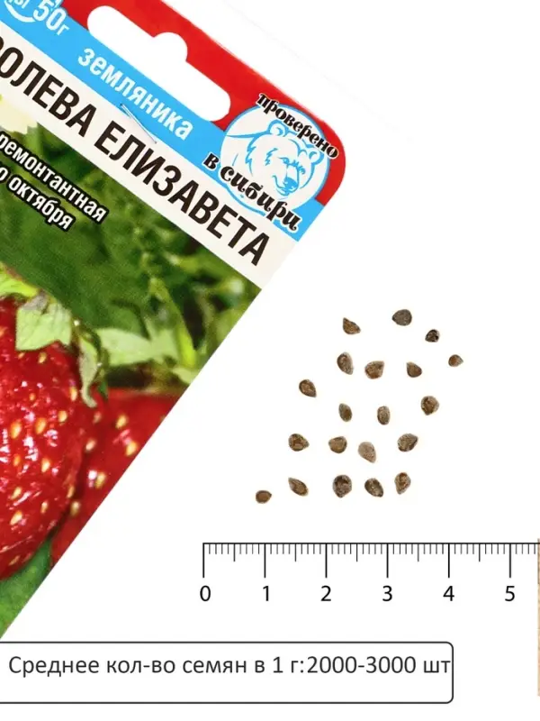 Семена Земляника &laquo;Королева Елизавета&raquo;, 10 шт.