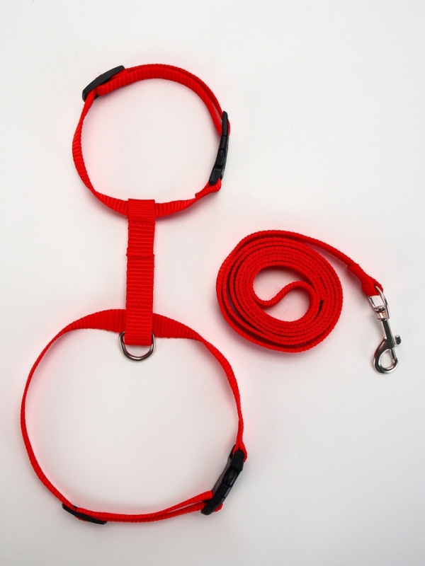 Комплект для кошек, ширина 1,5 см, ОШ 16,5-27 см, ОГ 21-35 см, поводок 120 см, красный