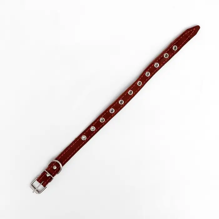 Ошейник кожаный однослойный безразмерный, 45&times;2 см, ОШ 18-39 см, коричневый