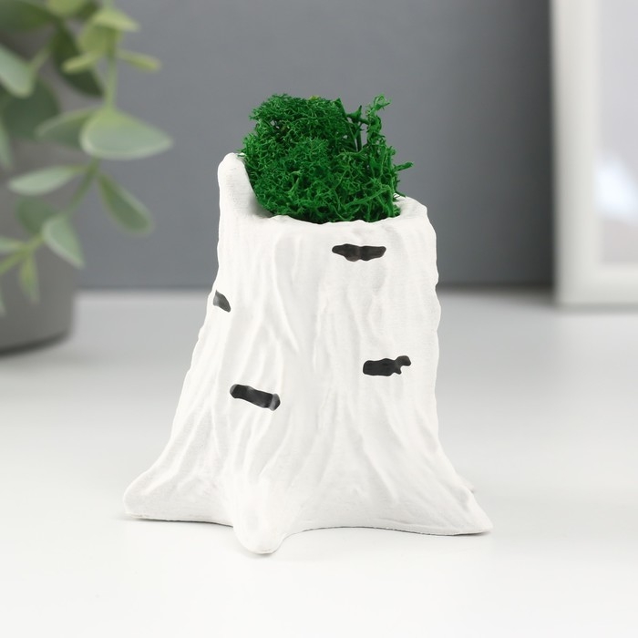 Кашпо бетонное Кашпо бетонное "Пенек березка" 7,5х8,5х7 см со мхом (мох зеленый стабилизированный)