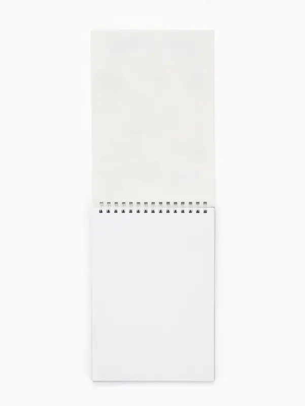 Скетчбук &laquo;Кот&raquo; А5, 40 л, 100 г/м&sup2;