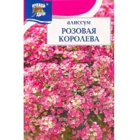 Семена цветов Алиссум "Розовая королева",  0,1 г