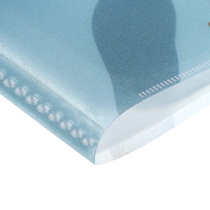 Папка 20 вкладышей А4, 400 мкм, deVENTE, Marandi.Sparkle, внутренний карман, тиснение фольгой Папка 20 вкладышей А4, 400 мкм, deVENTE, Marandi.Sparkle, внутренний карман, тиснение фольгой