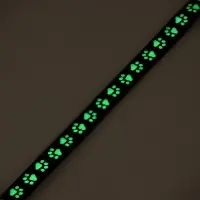 Ошейник кошачий &laquo;Душечка&raquo; светящийся, с бубенчиком, 30&times;1 см, полиэстер, черный