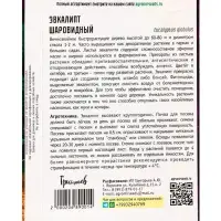 Семена Эвкалипт Шаровидный 10шт.  12.29 г.
