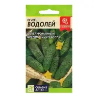 Семена Огурец "Водолей", 0,3 гр. Семена Огурец "Водолей", 0,3 гр.