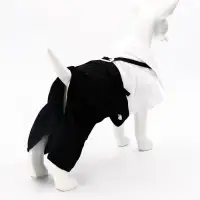 Костюм для животных "Джентельмен", размер  2XL (ДС 45, ОГ 55 см)