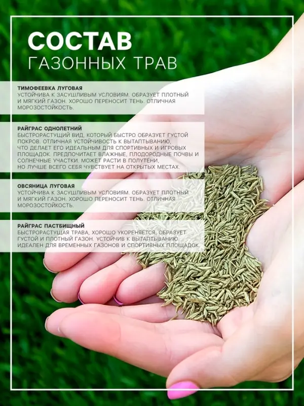 Газонная травосмесь &laquo;Быстрый газон&raquo;, 10 кг