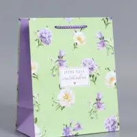 Пакет подарочный "Нежный штрих" ламинированный 18 х 22,3 х 10 см