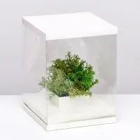 Коробка для цветов с вазой и PVC окнами, складная, 23&times;30&times;23 см, белый