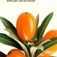 Бальзам для волос с натуральным экстрактом облепихи, экстренное восстановление, 250 мл