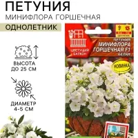 Семена цветов Петуния &laquo;Минифлора Горшечная&raquo; F1, белая, драже, 5 шт.