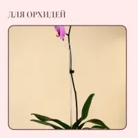 Опора для орхидей, h = 44 см, пластик, прозрачная, МИКС Опора для орхидей, h = 44 см, пластик, прозрачная, МИКС