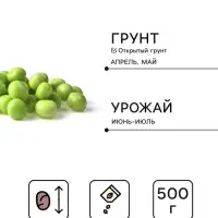 Семена Горох &laquo;Беркут&raquo;, 500 г, &laquo;Сембат&raquo;