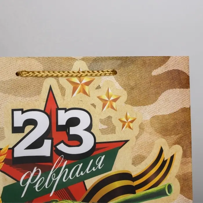 Пакет подарочный ламинированный, упаковка, &laquo;С 23 февраля&raquo;, ML 25&times;21&times;8 см