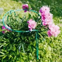 Кустодержатель, d=80 см, h=60 см, ножка d=1 см, металл, набор 2 шт., зелёный