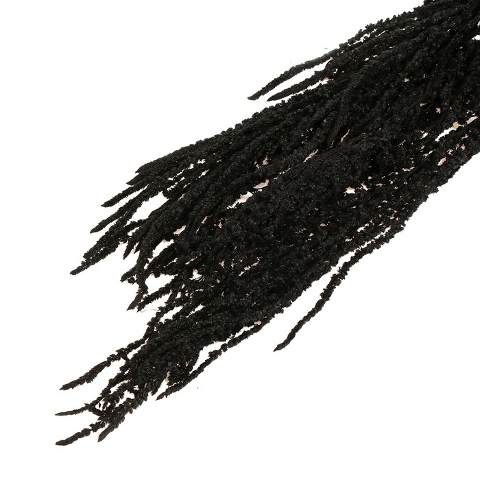 Сухие цветы амаранта, 100 г, размер листа: от 50 до 60 см, цвет чёрный Сухие цветы амаранта, 100 г, размер листа: от 50 до 60 см, цвет чёрный