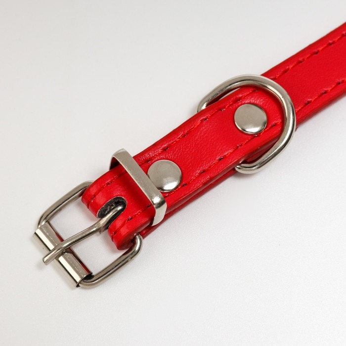 Ошейник Ошейник "Корона" с металлическим декором и со стразами, 36 х 1,4 см, ОШ 24-31, красный