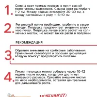 Семена петрушка листовая «Богатырь», 2 г