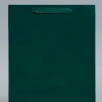 Пакет подарочный ламинированный &laquo;Зелёный&raquo;, 26&times;32&times;12 см