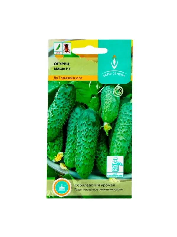 Семена Огурец &laquo;Маша&raquo;, F1, партенокарпический, 5 шт., &laquo;Евро - семена&raquo;