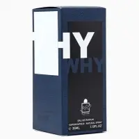 Парфюмерная вода мужская Milestone WHY, 35 мл