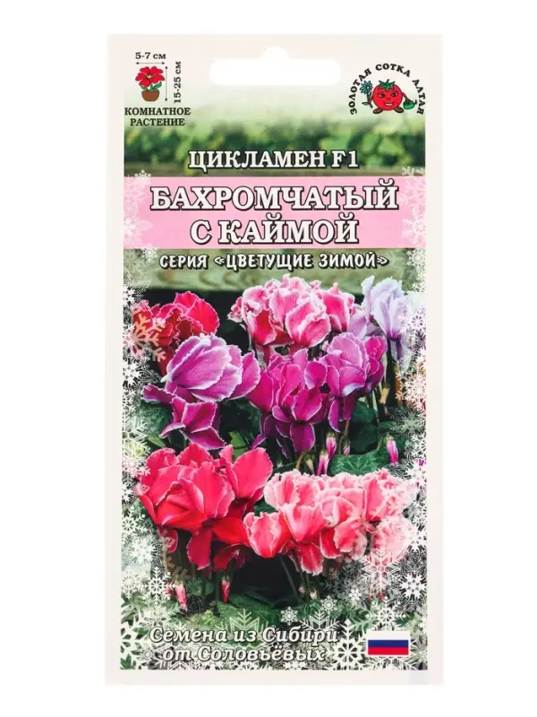 Семена Ком: Цикламен Бахромчатый с каймой /Сотка/ 3 шт/ h-30см d-5см/*1500 Семена Ком: Цикламен Бахромчатый с каймой /Сотка/ 3 шт/ h-30см d-5см/*1500