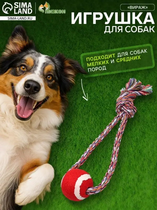 Игрушка канатная &laquo;Вираж&raquo;, с мячом, до 135 г, до 37 см, цвет МИКС