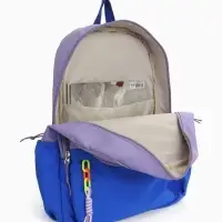 Рюкзак молодёжный на молнии, с карманами, двухцветный, размер 31&times;15&times;46 см, сиреневый