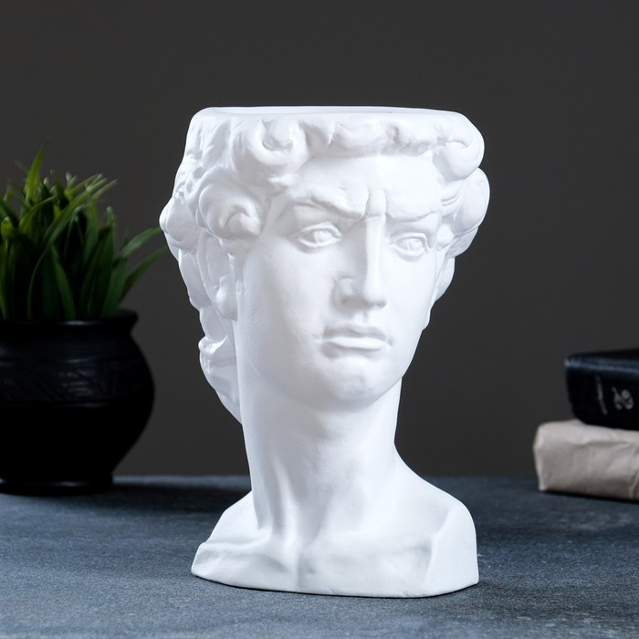 Кашпо - органайзер Кашпо - органайзер "Давид" белое, 1,25л/ 21х15х16см