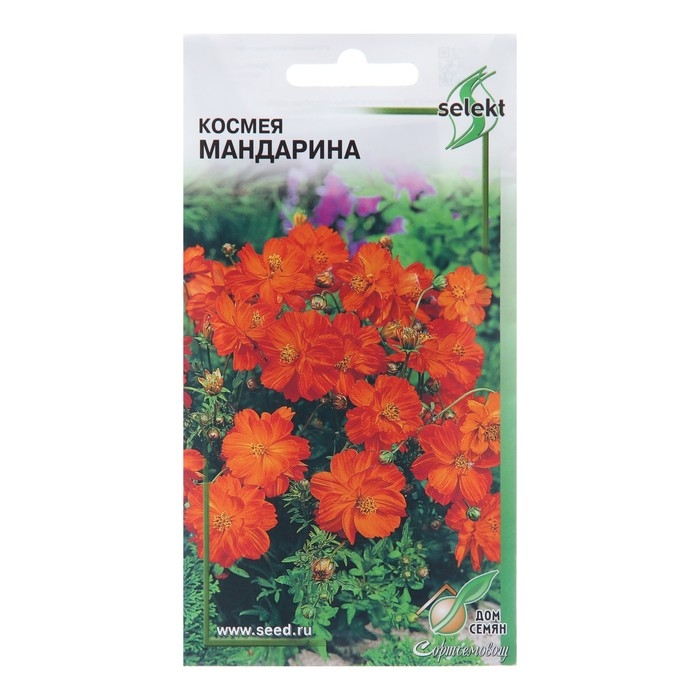 Семена цветов Космея  Семена цветов Космея "Мандарина", 10 шт