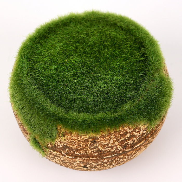 Основа для декора «Горшок круглый для цветов», 7 × 8 × 8 см Основа для декора «Горшок круглый для цветов», 7 × 8 × 8 см